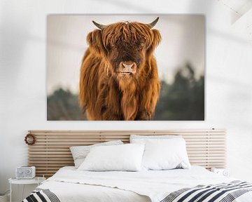 Gros plan sur un Highlander écossais