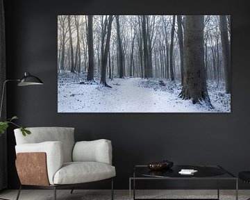 Winterliche Waldlandschaft in Neigem, Flandern