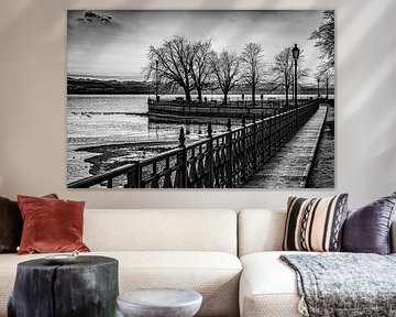 Friedrichshafen Schlosshorn Bodensee in schwarz-weiss von Dieter Walther