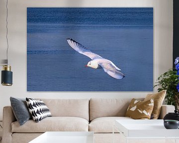 Unlimited freedom by Photoart-Naegele