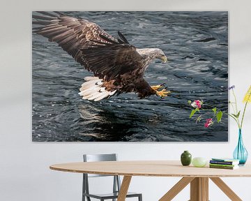 Hab dich! von Severin Frank Fotografie