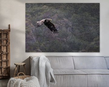 Im Regen von Severin Frank Fotografie