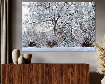 Winter Wonderland magic by Inge Hogenbijl