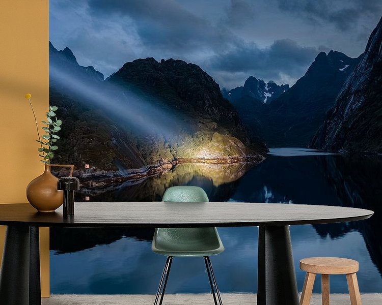 Aperçu de la chambre