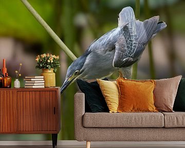 De Gefocuste Visser van Mauritius