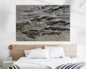 Marée basse &amp ; Marée haute