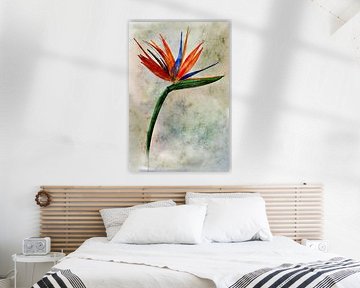 Strelitzia Flower by AnkieArt