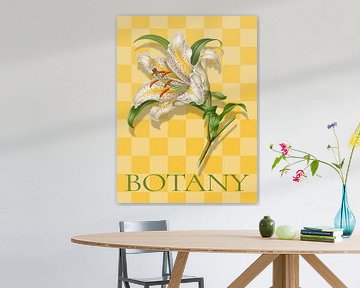 Botany by Marja van den Hurk