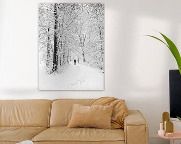 Hiker in a forest with snow