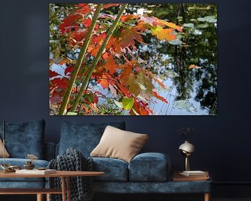 Autumn leaves by Tatjana Korneeva