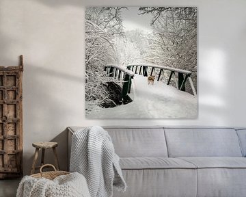 Dog in the snow. by Alie Ekkelenkamp