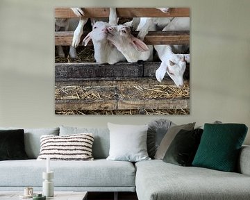 Love by Tatjana Korneeva