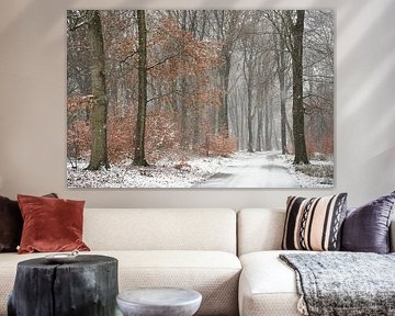 Snow shower in the forest by Cor de Hamer