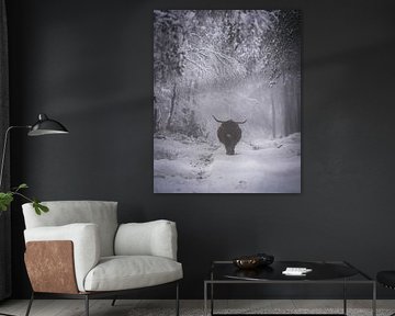 Schottischer Highlander