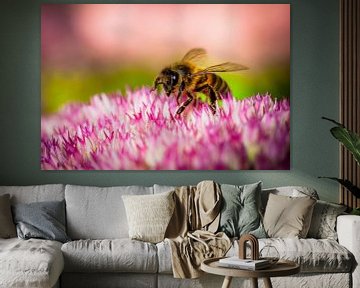 Honey bee sur Matthijs Veltmeijer