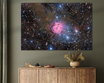 The Cocoon Nebula by Benjamin Butschell