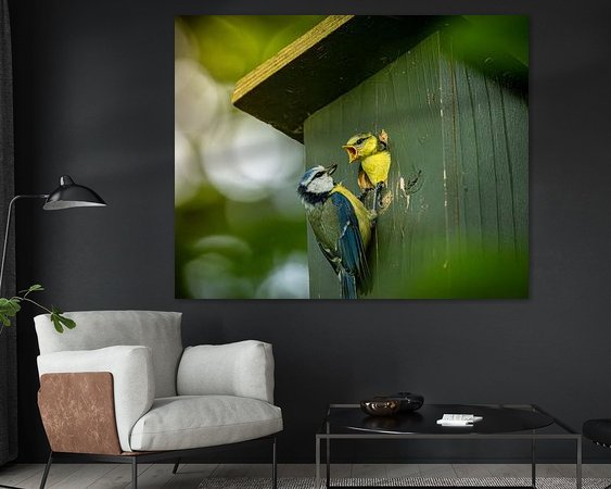 Voorbeeld van het werk in een kamer