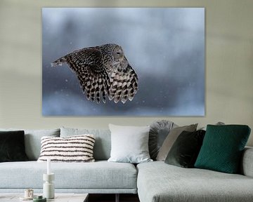 De Oeraluil in de sneeuw van Rando Kromkamp Natuurfotograaf