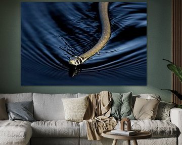 donkere golven - grasslang op het water van Skarvaan by Benedict Gertz