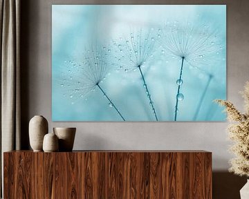 Blauw macrobeeld paardenbloemzaad close-up van Imperial Art House