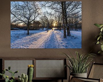 Sonnenaufgang im Kringelgrabenpark im Winter in der Hansestadt R