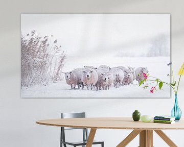 Schneebedeckte Schafe von Ton Drijfhamer