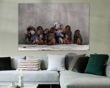 apen familie van snippefotografie