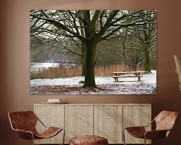 Bänke Bänke Bänke von snippefotografie