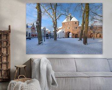 Winter in Harderwijk 2026 by Nienke Bot