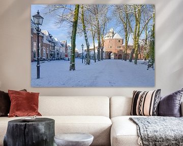 Winter in Harderwijk 2026 van Nienke Bot