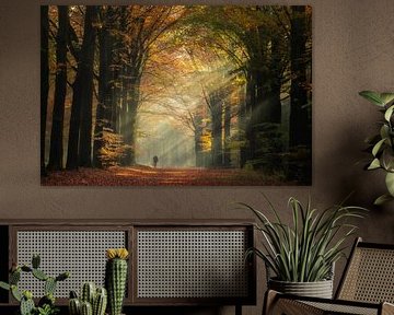 Walking through the sun's rays