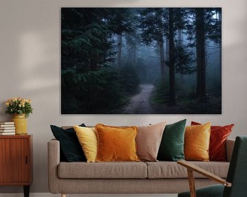 Mysterious forest path