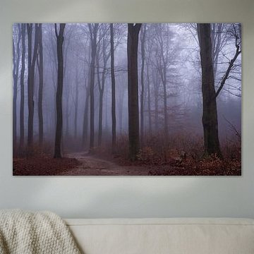 Arbres dans le brouillard