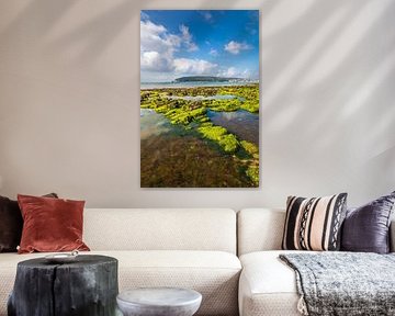 Plage du Porzic à marée basse, Morgat, Bretagne sur Christian Müringer