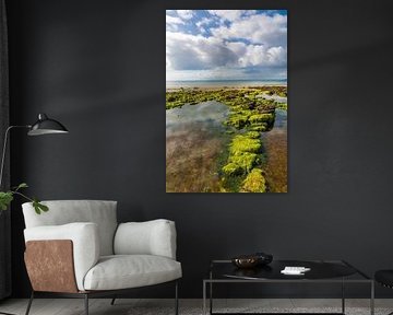 Plage du Porzic à marée basse, Morgat, Bretagne sur Christian Müringer