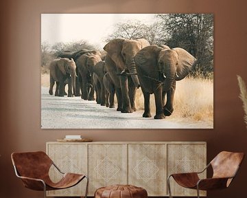 Troupeau d'éléphants dans la lumière du soir sur Stef Heijenk