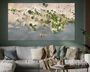 Young dunes by Top down - Maarten Kempen