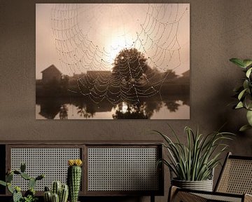 Spinneweb met zon van Anneriek de Jong