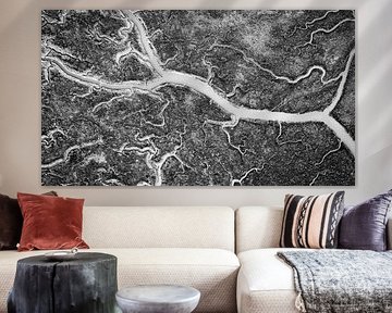 Delta in black and white