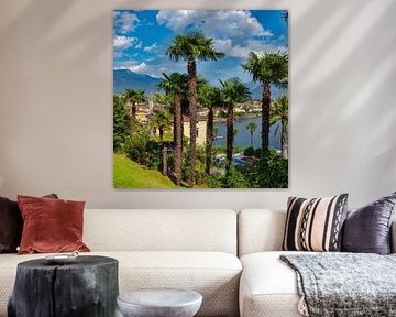 Blick auf Ascona und die Promenade durch die Palmen, Ascona, Tessin Ticino, Schweiz