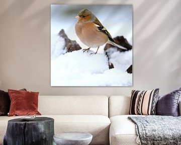 Keep in the snow by Sabrina de Vries