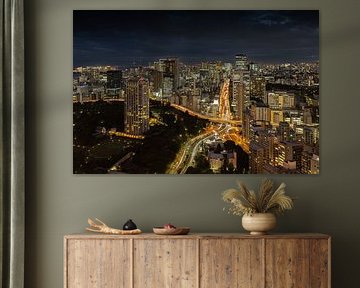 Nighttime rhythm of the city of Tokyo by Marco Leeggangers