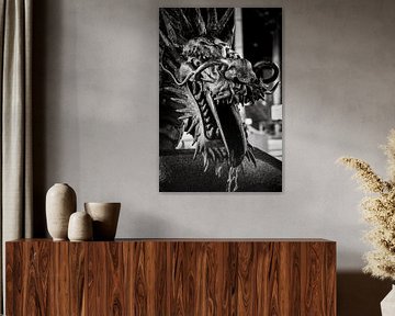 Dragon's breath in black and white by Marco Leeggangers