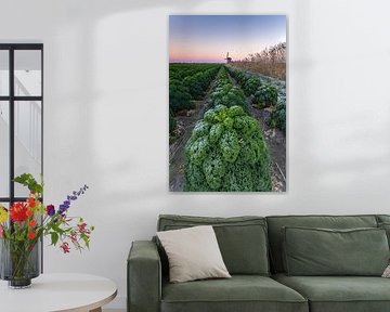 Frost auf Grünkohl nach einer kalten Winternacht von Bram Lubbers