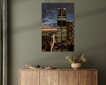 Evening light over the Tokyo skyline by Marco Leeggangers