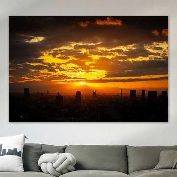 Golden sunset over Tokyo