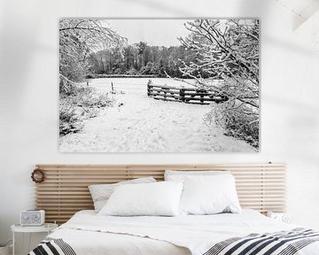 Snow landscape