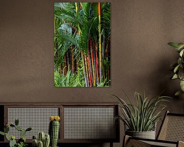 Rhythm of colour in tropical green by Marco Leeggangers