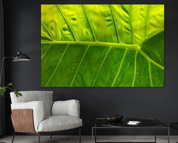 Structure of a leaf by Marco Leeggangers