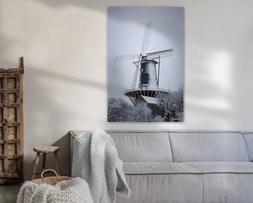 The Winter Greyhound